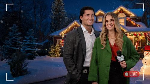 Merry Mystery Christmas filmas žiurėti online