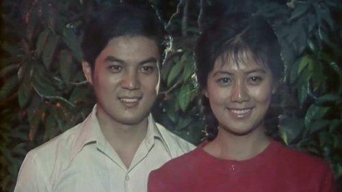 Gu ci shi bi filmas žiurėti online