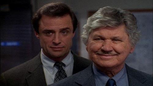 Breach of Faith: A Family of Cops II filmas žiurėti online