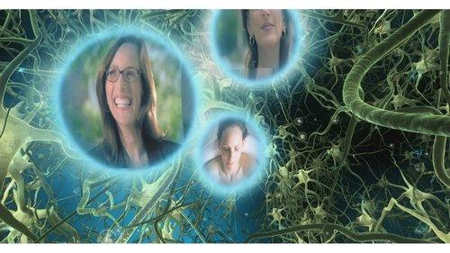 What the #$*! Do We (K)now!? filmas žiurėti online