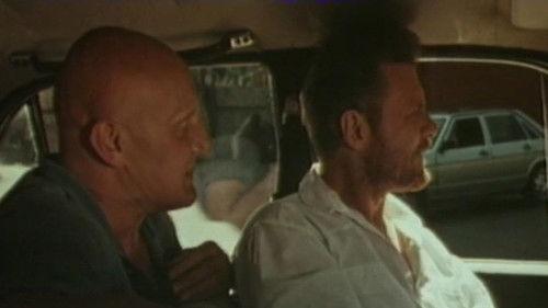 Rogonosets filmas žiurėti online