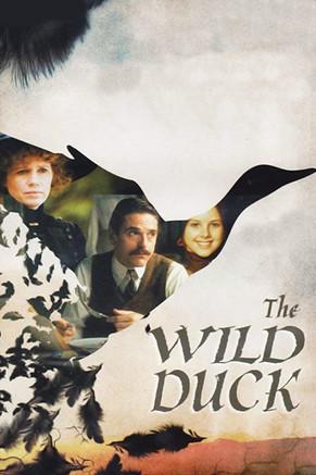 The Wild Duck filmas online