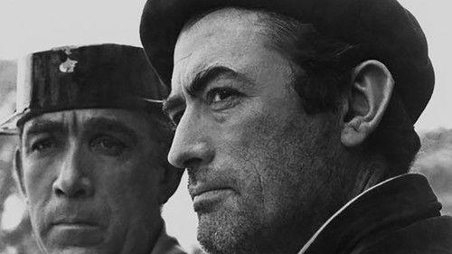 Behold a Pale Horse filmas žiurėti online