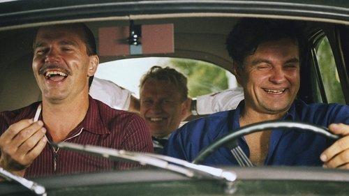 The Swan and the Wanderer filmas žiurėti online