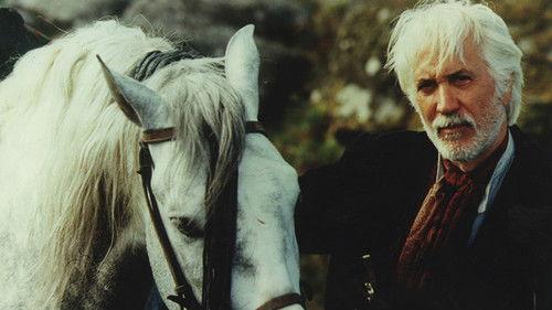 The Frontier Law filmas žiurėti online