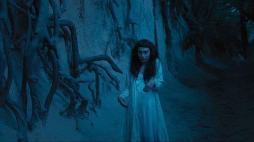 The Field Guide to Evil filmas žiurėti online