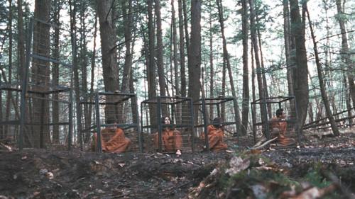 Territories filmas žiurėti online