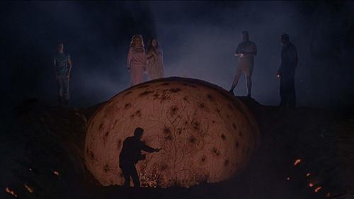 The Curse filmas žiurėti online