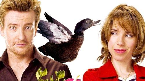Love Birds filmas žiurėti online