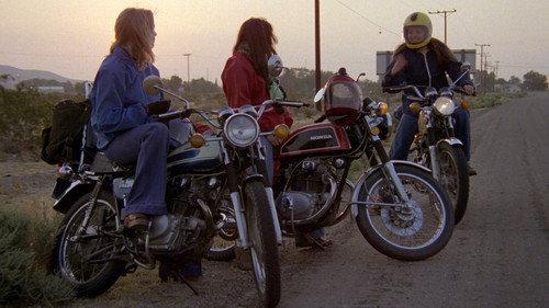 Cycle Vixens filmas žiurėti online
