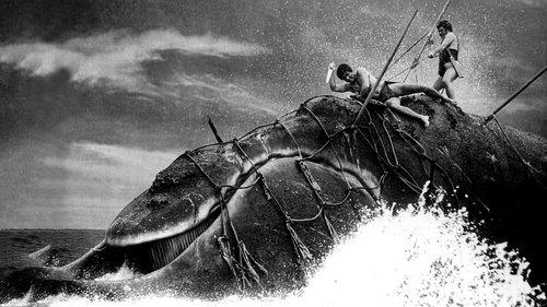 The Whale God filmas žiurėti online