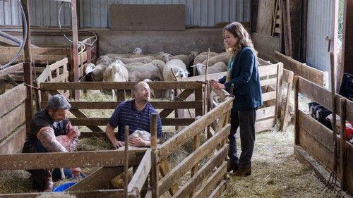 La Doc et le Véto filmas žiurėti online