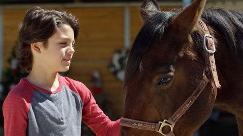 Ace & the Christmas Miracle filmas žiurėti online