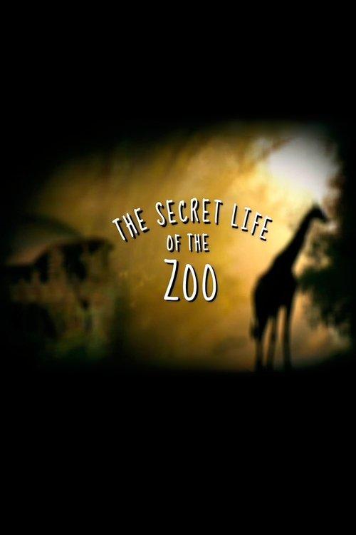 The Secret Life of the Zoo filmas online