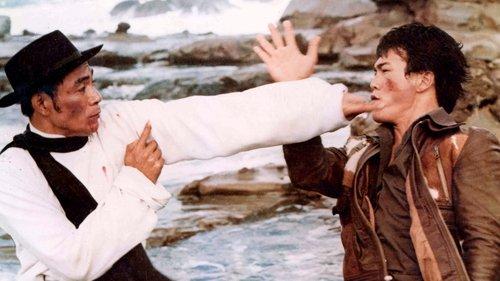 Exit the Dragon, Enter the Tiger filmas žiurėti online