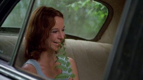 Taureau filmas žiurėti online