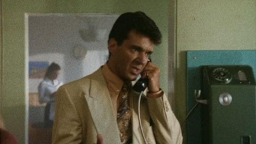 Have a Wonderful Life filmas žiurėti online