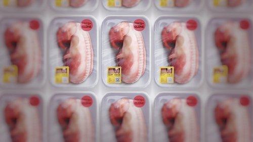 King of Clones filmas žiurėti online