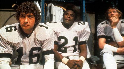 North Dallas Forty filmas žiurėti online