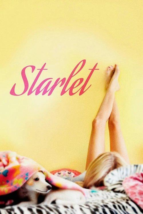 Starlet filmas online