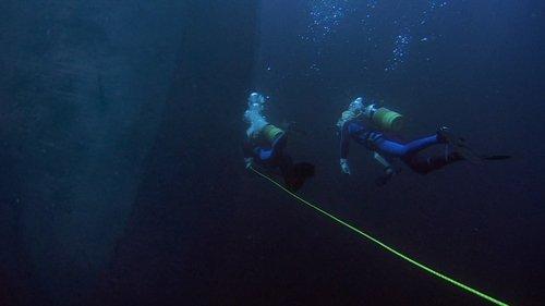 Sea Monkey filmas žiurėti online