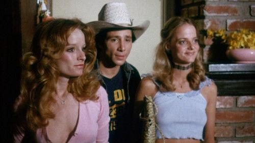 The Great Texas Dynamite Chase filmas žiurėti online