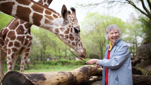 The Woman Who Loves Giraffes filmas žiurėti online