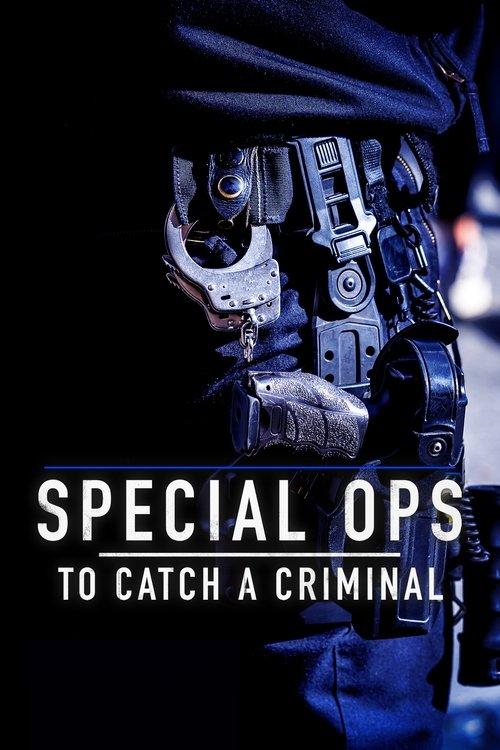 Special Ops: To Catch A Criminal filmas online