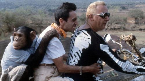 La Vengeance du serpent à plumes filmas žiurėti online