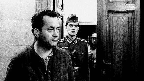 The Refusal filmas žiurėti online