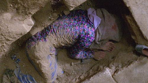 The Paternal House filmas žiurėti online