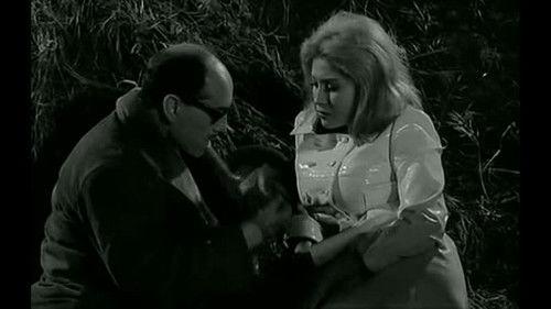 Operación Secretaria filmas žiurėti online