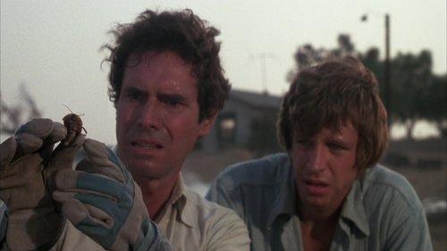 Bug filmas žiurėti online