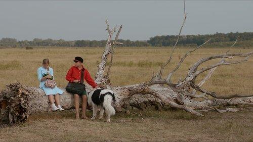 Šegrt Hlapić filmas žiurėti online