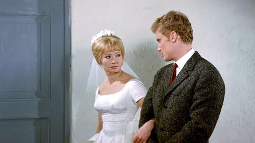 The Marriage of Convenience filmas žiurėti online