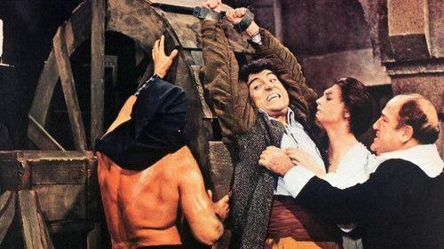 Magical Witches filmas žiurėti online