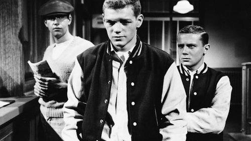 The Young Stranger filmas žiurėti online