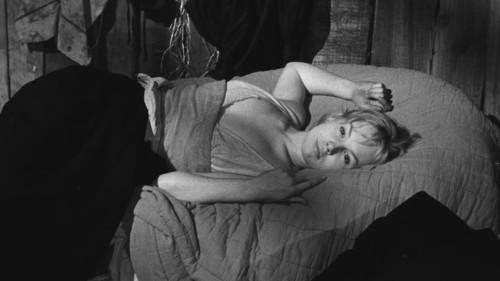 Les Sorcières de Salem filmas žiurėti online