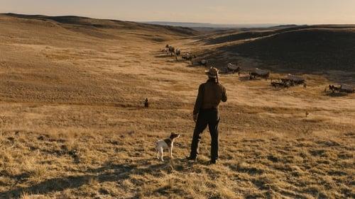 The Ballad of Buster Scruggs filmas žiurėti online