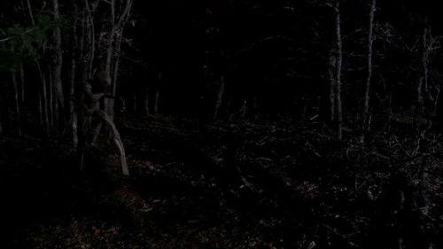 The Hunt filmas žiurėti online