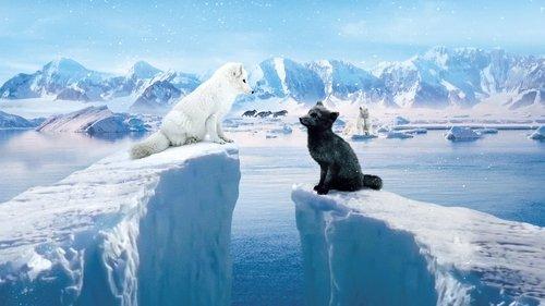 Lapių kelionė ledynuose filmas žiurėti online