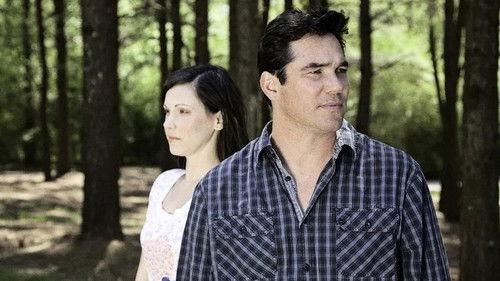 The Way Home filmas žiurėti online