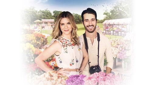 The Wedding Arrangement filmas žiurėti online