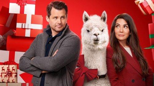 We Wish You a Married Christmas filmas žiurėti online