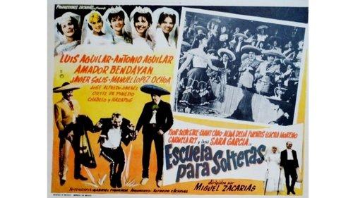 Escuela para solteras filmas žiurėti online