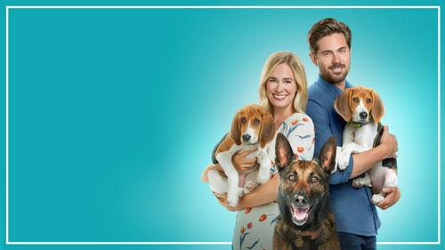 A Tail of Love filmas žiurėti online