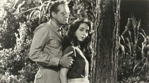 The Wastrel filmas žiurėti online