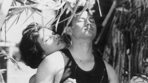 Love in a Slice of Bread filmas žiurėti online