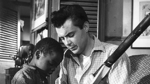 Simba filmas žiurėti online