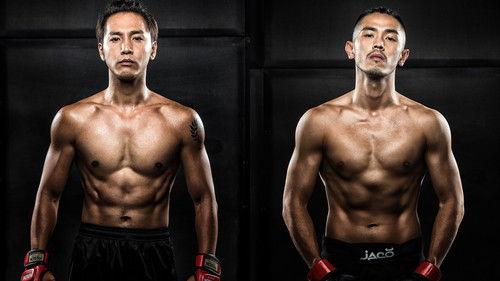 We Are Legends filmas žiurėti online